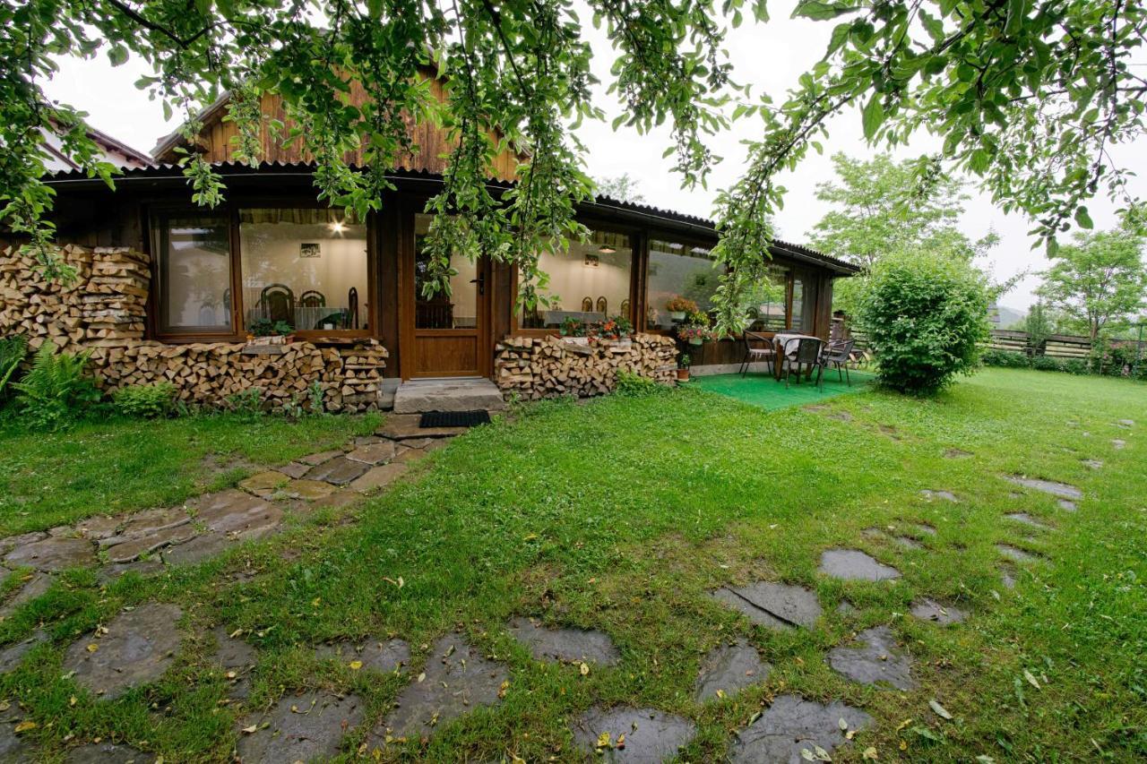Pensiunea Casa Bianca - Bucovina Vama  Extérieur photo