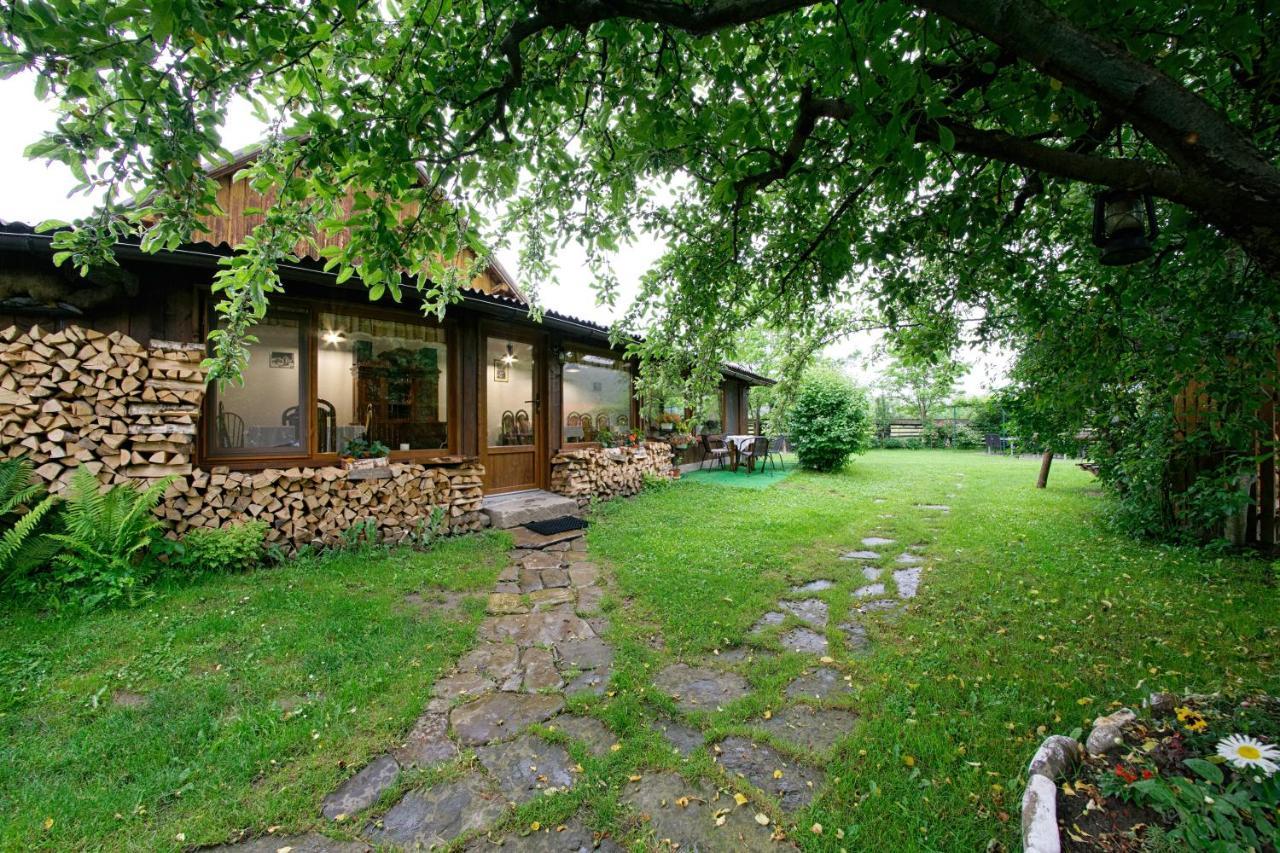Pensiunea Casa Bianca - Bucovina Vama  Extérieur photo