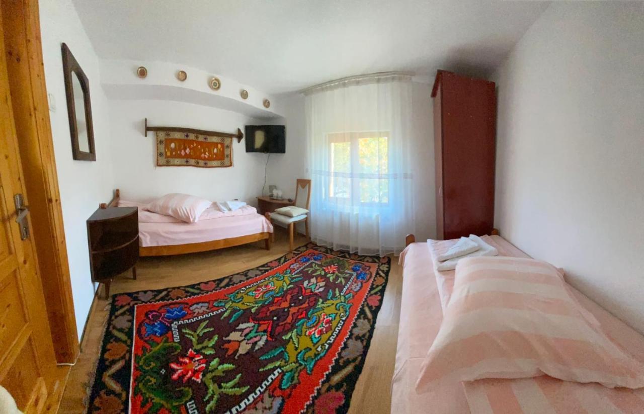 Pensiunea Casa Bianca - Bucovina Vama  Extérieur photo