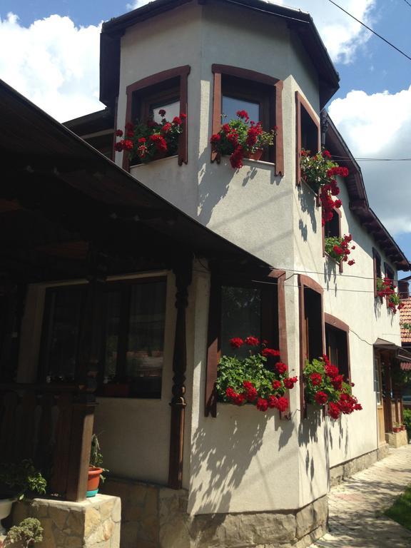 Pensiunea Casa Bianca - Bucovina Vama  Extérieur photo