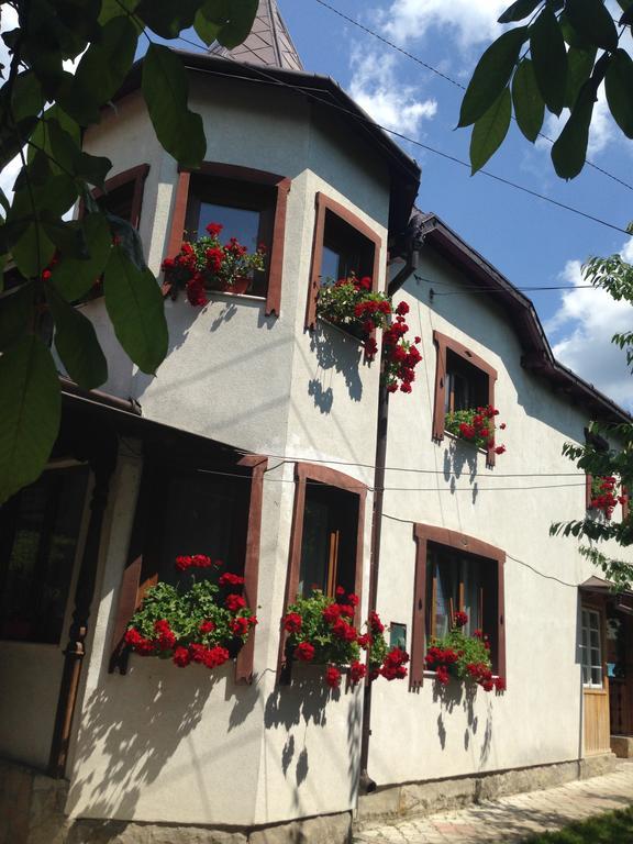 Pensiunea Casa Bianca - Bucovina Vama  Extérieur photo